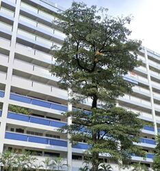 Blk 653 Woodlands Ring Road (Woodlands), HDB 5 Rooms #621624691